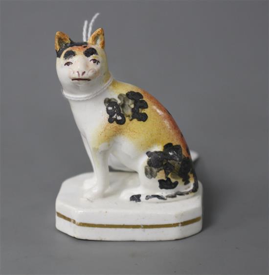 A rare Staffordshire porcelain figure of a seated cat, c.1835-50, H. 7.5cm